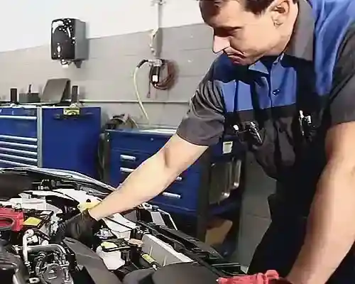 Servicio oficial postventa Suziki